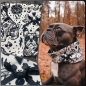 Preview: Hunde Loop Tattoo Bully Vintage Black