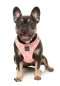 Preview: FuzzYard Step In Harness - Pink Lemonade