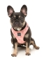 Preview: FuzzYard Step In Harness - Pink Lemonade