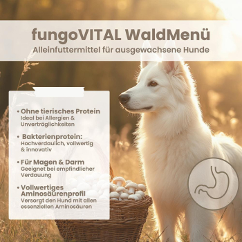 fungoVITAL WaldMenü Trockenfutter